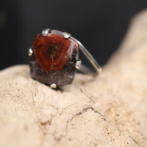 Red Rose