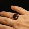 Red Rose - Image 5