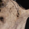 Möbius - Sterling and copper creation - Image 21