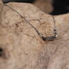 Life On The Edge- Minimalistic Sterling Silver Necklace - Image 4